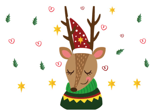 BOUTON-RACONTINES-DE-NOEL